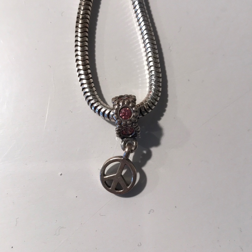 Pandora Bracelet Charm